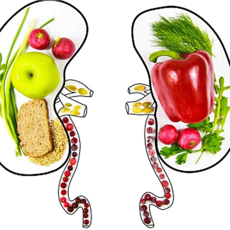 Diet and kidneys failure