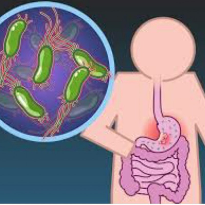 Helicobacter Pylori