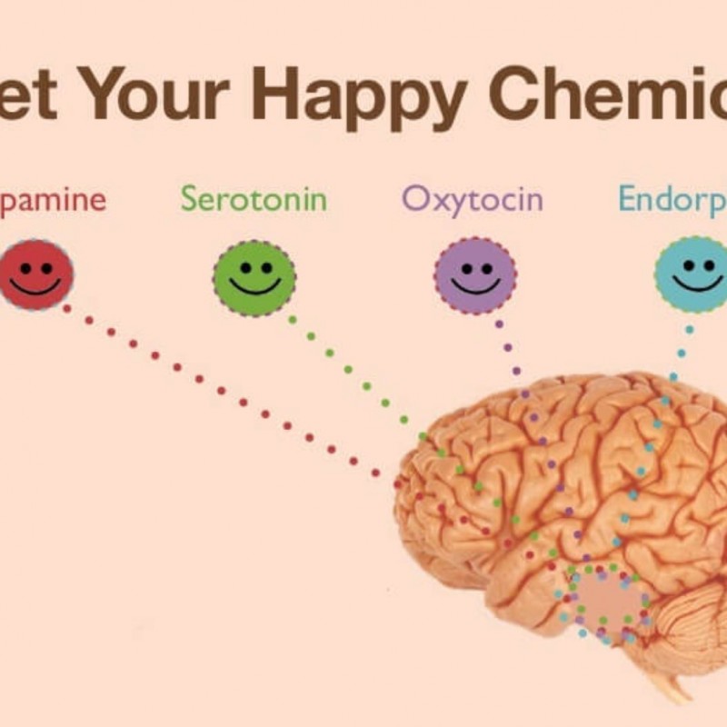 هل تعرف هرمونات السعادة؟